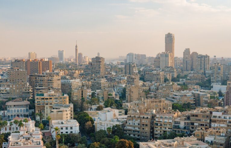 The Middle East and Africa During a Time of Change