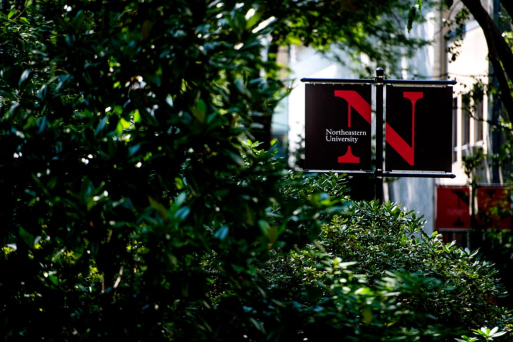 Northeastern banner nestled amongst trees.