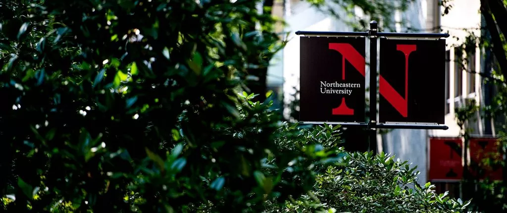 Northeastern Banner in trees
