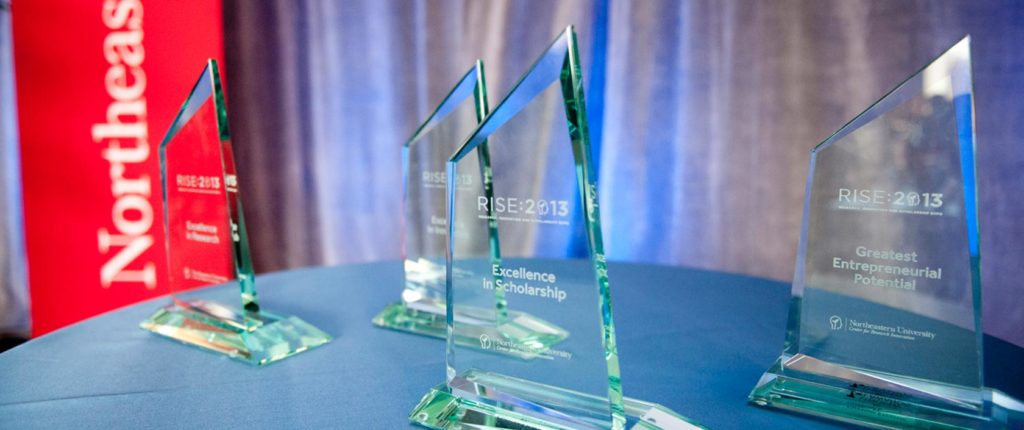 RISE Awards 2013