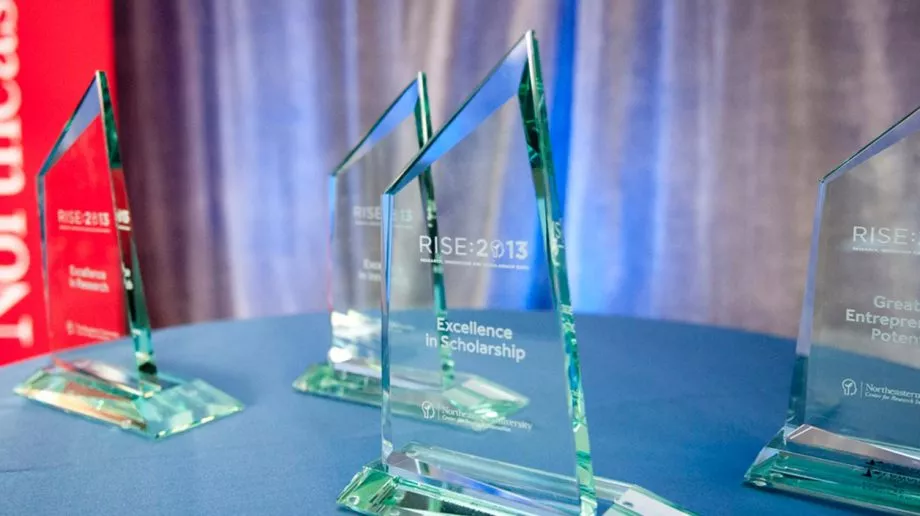 RISE Awards 2013