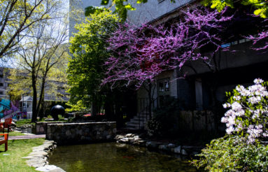 photo of campus in spring