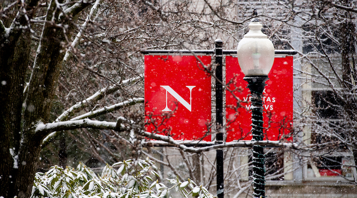 Photo of a northeastern flag surrounded by snowy tree branches