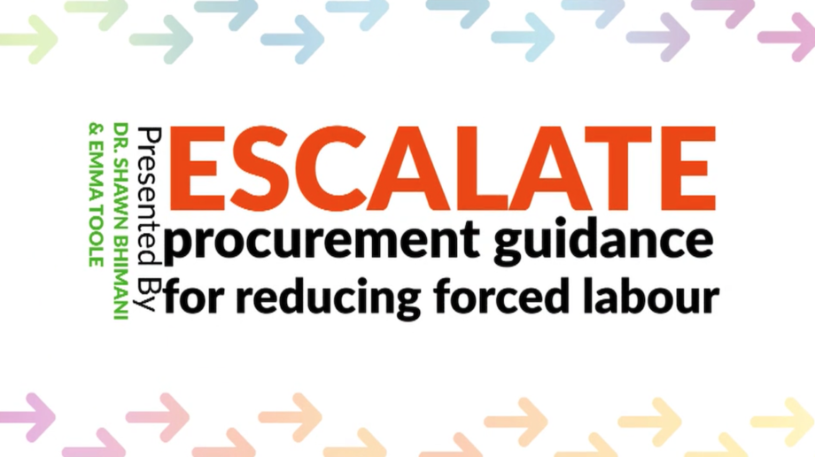 Escalate: procurement guidance for reducing forced labor