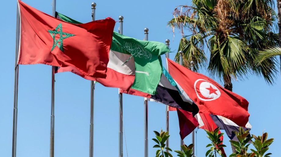 flags of MENA Middle East and North Africa on a series of flagpoles