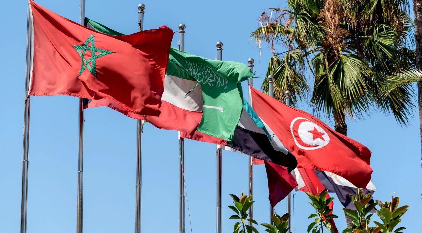 flags of MENA Middle East and North Africa on a series of flagpoles