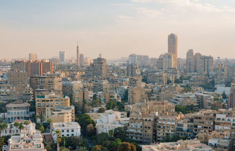 The Middle East and Africa During a Time of Change
